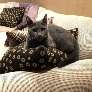 Meet your Posher, Jordan